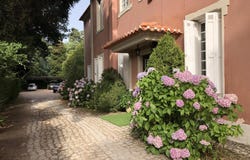 Luso, Aveiro Municipality 3050