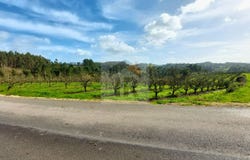 Caldas da Rainha, Leiria District