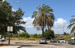 Portimão, Algarve 8500