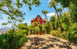 Monte, Madeira 9050