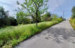 Tomar, Santarém District 2300-