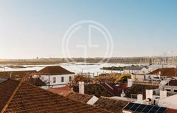 Faro, Faro