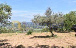 Paderne, Algarve 8200