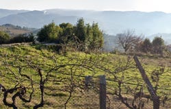 Gesta, Porto District