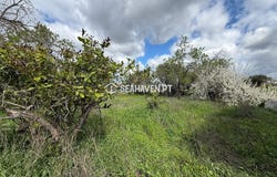 Paderne, Algarve