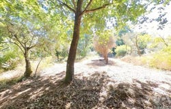 Leiria, Leiria District