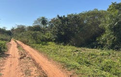 Lugar denominado Pindolo s/n, , Areguá, Central, Aregua, Central