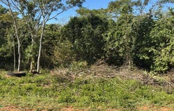 Lugar denominado Pindolo s/n, , Areguá, Central, Aregua, Central