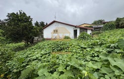 Saint-Louis, Reunion 97421