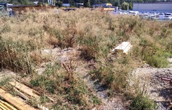 73E Drumul DRUMUL LAPUS, Bucuresti, Sector 1 013912