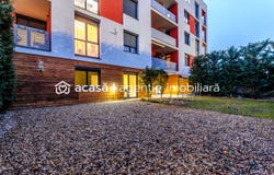 Arad, Arad County