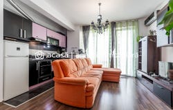 Arad, Arad County