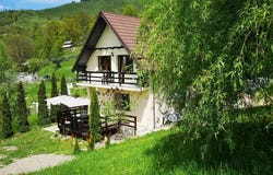 Neamț, Neamț County 617241