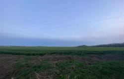 Costineti, Constana 907090