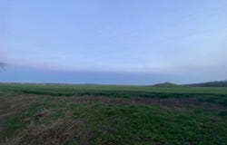 Costineti, Constana 907090