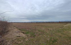Arad, Arad, Arad County