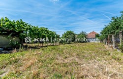 Arad, Arad County