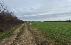 Arad, Arad, Arad County