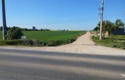 Afumati, Frumusani, Călărași County