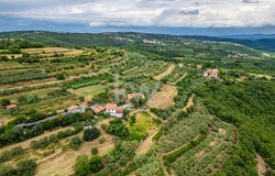 Koper, Koper 6000