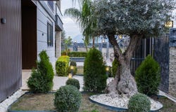 Antalya, Antalya 07190