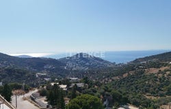 Bodrum, Mula