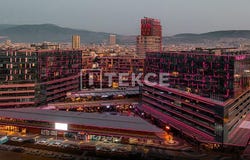 Bornova, zmir