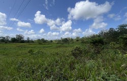 Las Lomas #3 Road, Las Lomas, Caroni, Las Lomas, Caroni