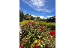 RANG DU FLIERS, Hauts-de-France 62180