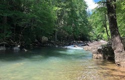 Dunlap, Tennessee 37327