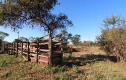 Modimolle, Limpopo 510