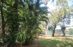 Phalaborwa, Limpopo 1390
