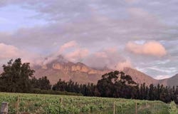Western Cape, Western Cape 7655