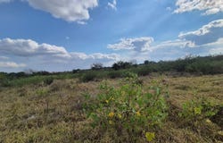 Phalaborwa Rural, Limpopo 1390