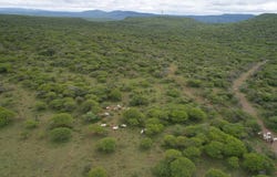 Weenen, KwaZulu-Natal 3325