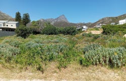Ixia Road 71, Rooi Els, Western Cape 7196