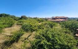 Sterpark, Limpopo 699