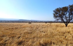 Sterkrivier AH, Limpopo 600