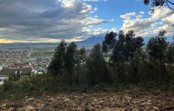 Mountainside, Western Cape 7150