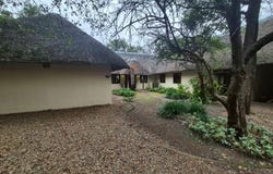 Phalaborwa, Limpopo 1390