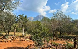 Canyon Game Reserve, Limpopo 1380