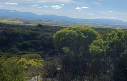 Riversdale Rural, Western Cape 6670
