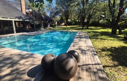 Phalaborwa, Limpopo 1390