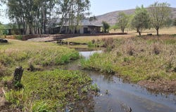 Bela Bela, Limpopo 480