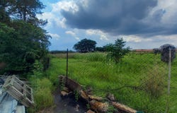 Rand Collieries, Gauteng 1540