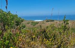 Brenton-on-Sea, Brenton-on-Sea, Western Cape 6571