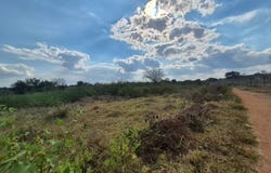 Phalaborwa Rural, Limpopo 1390