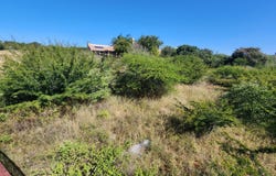 Sterpark, Limpopo 699