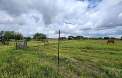Tweefontein AH, Limpopo 699