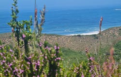 Brenton-on-Sea, Brenton-on-Sea, Western Cape 6571